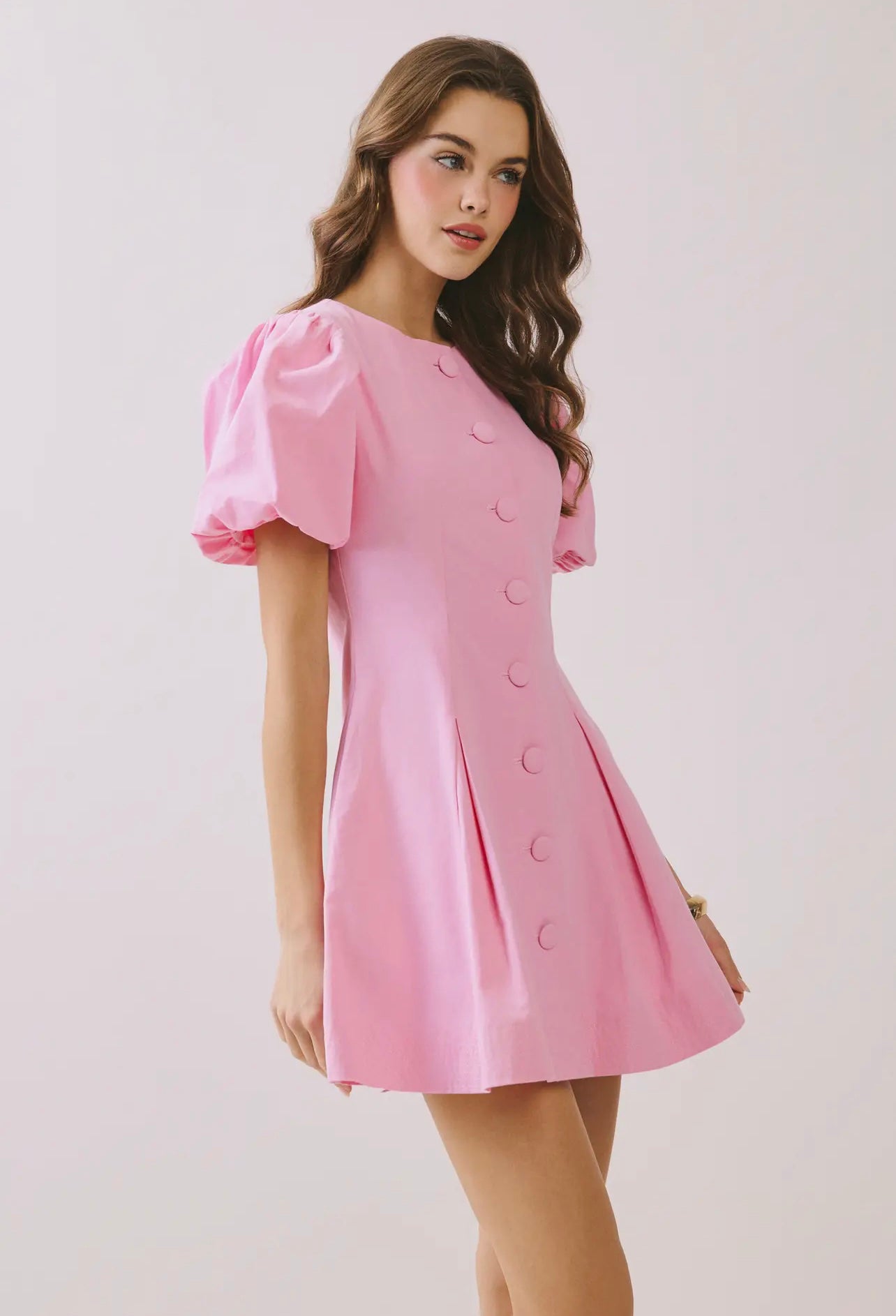 The Audrey Dress  image 1